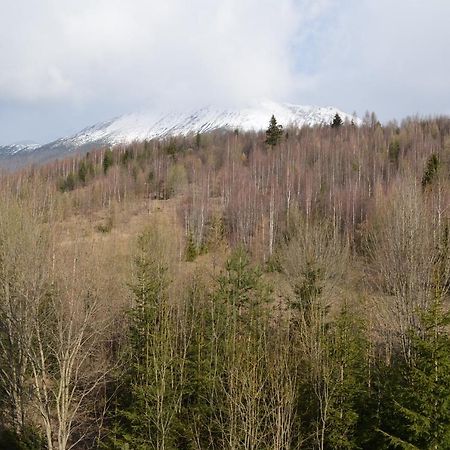 Apartman Lesia Vysoké Tatry 外观 照片